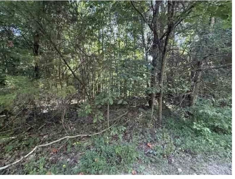 Property Photo: 2235 Larry Hunt Road KY 40060