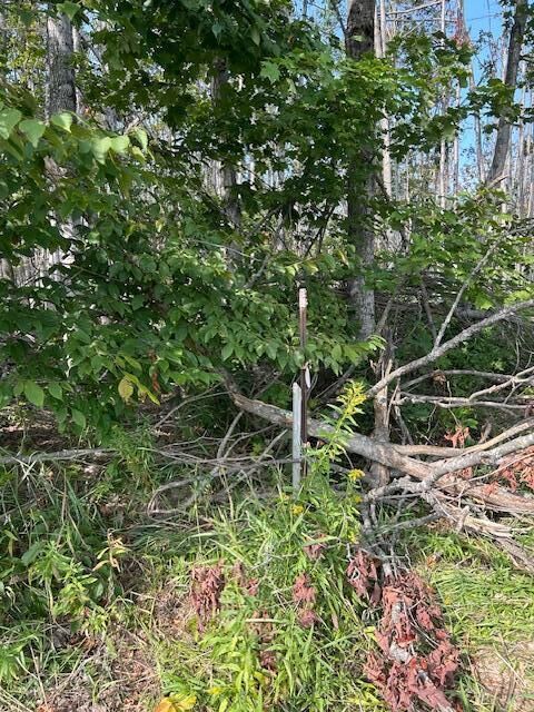Property Photo: V/L 2.06ac Estelle Road MI 49735