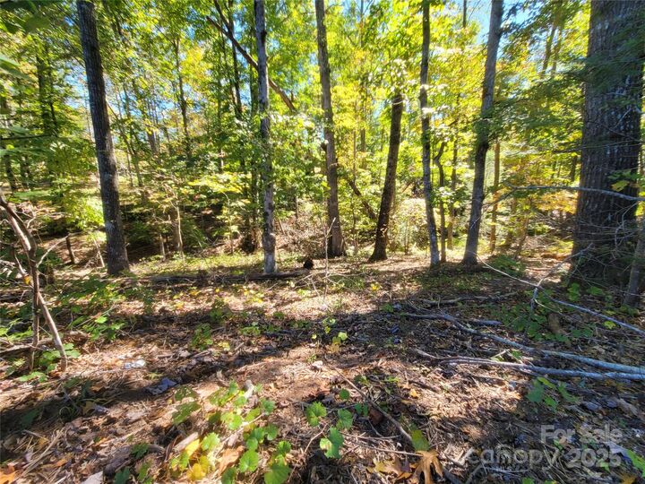 Property Photo:  0 Horse Creek Drive 14  NC 28756