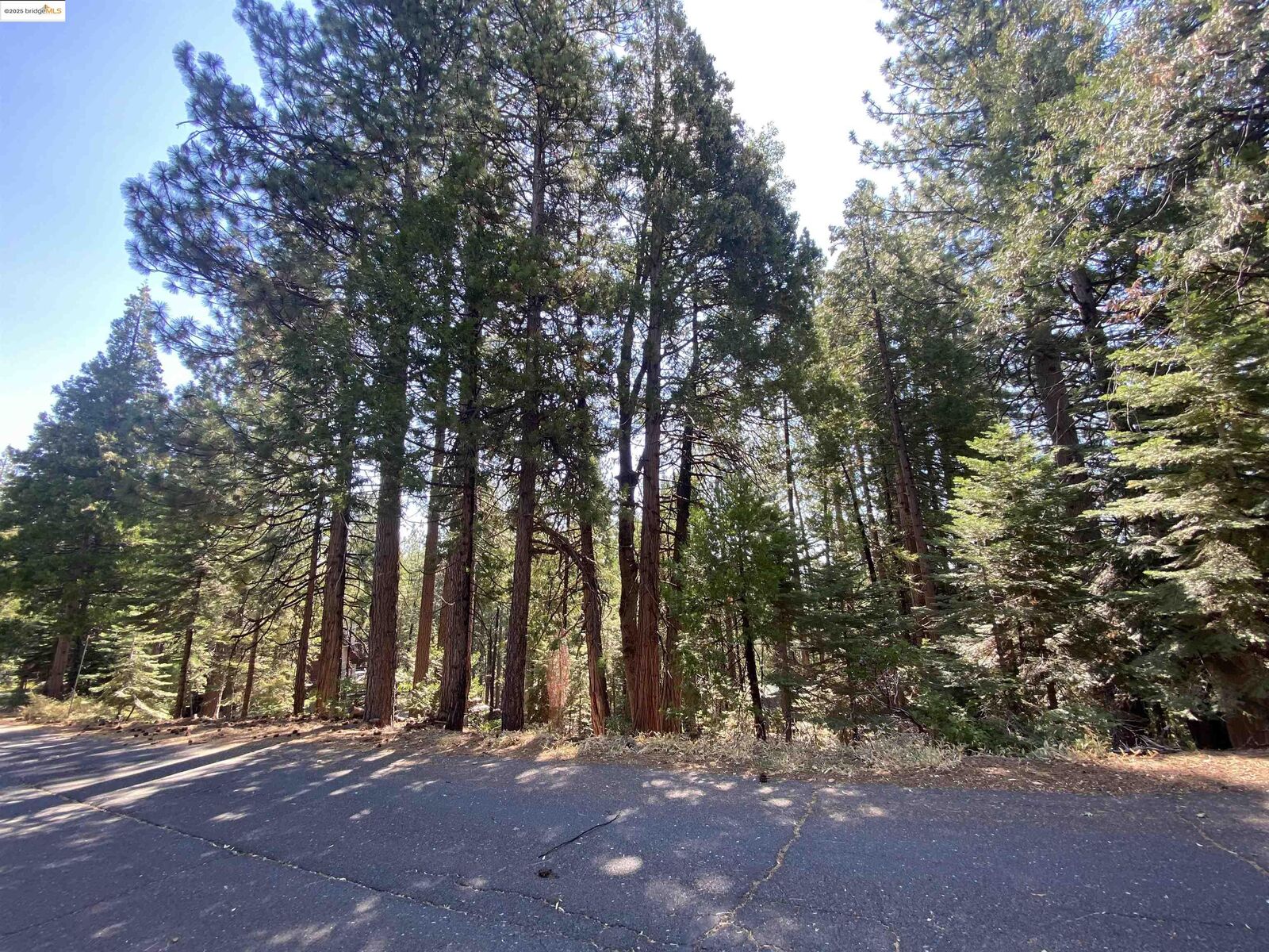 Property Photo:  155 Alpine  CA 95335 