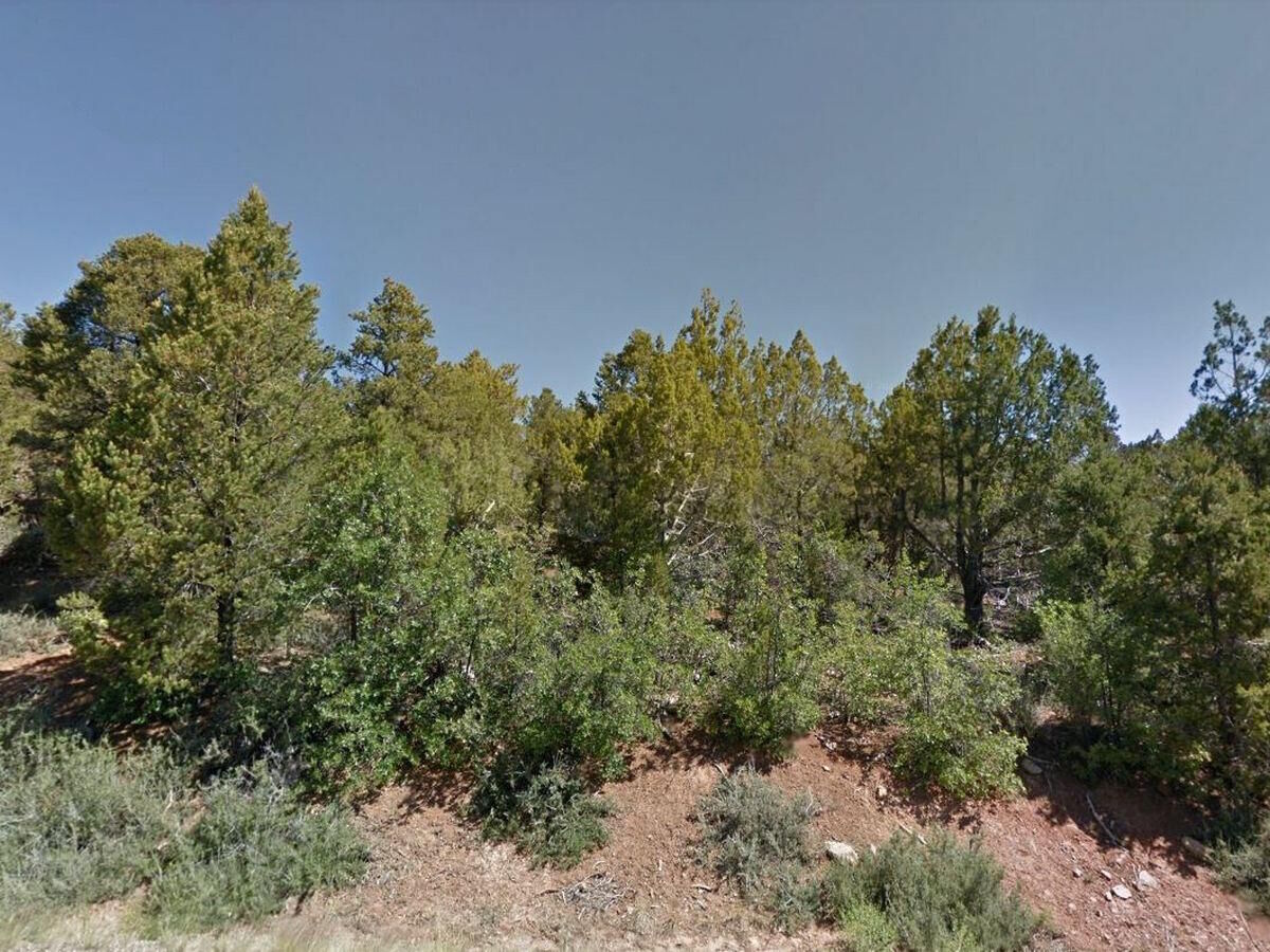 Property Photo:  Zion Hunting Est Blk 1 Lot 22  UT 84762