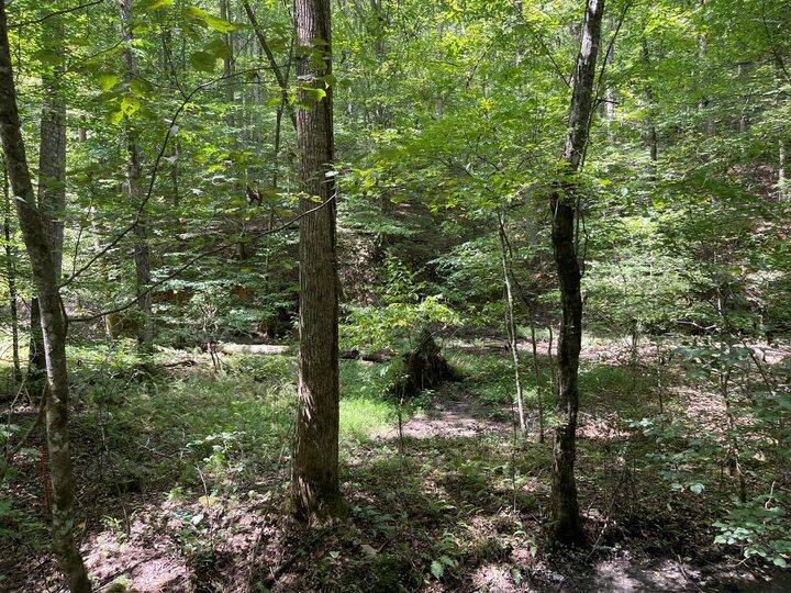 Property Photo:  Lot 223 Bowline Drive  GA 30540 
