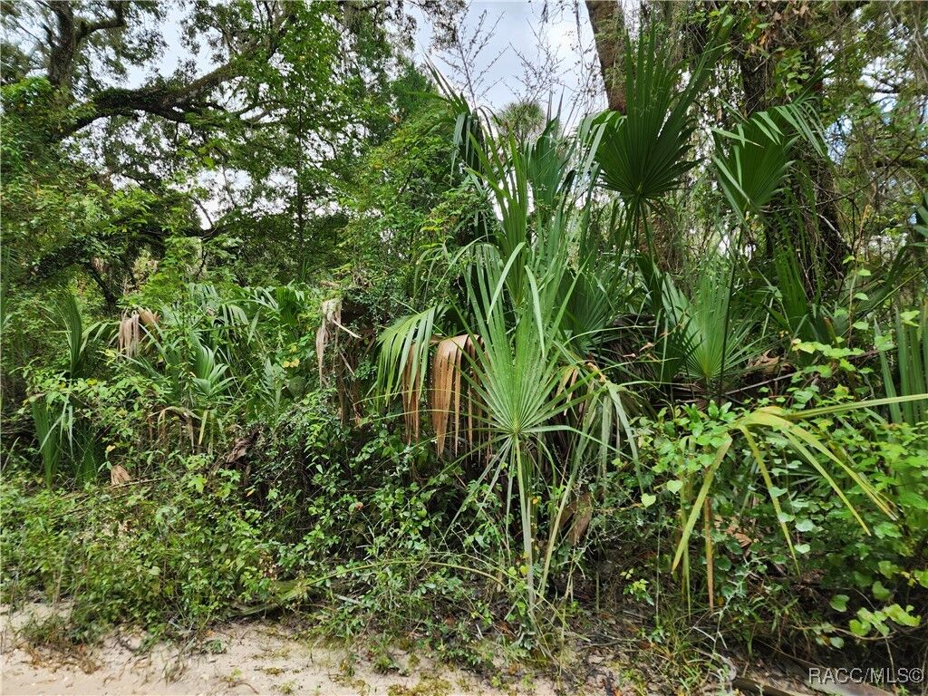 Property Photo:  13046 E Shawnee Trail  FL 34450 
