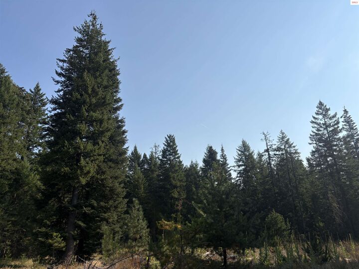 Property Photo:  Nna E Lewellen Creek (South 10)  ID 83801 