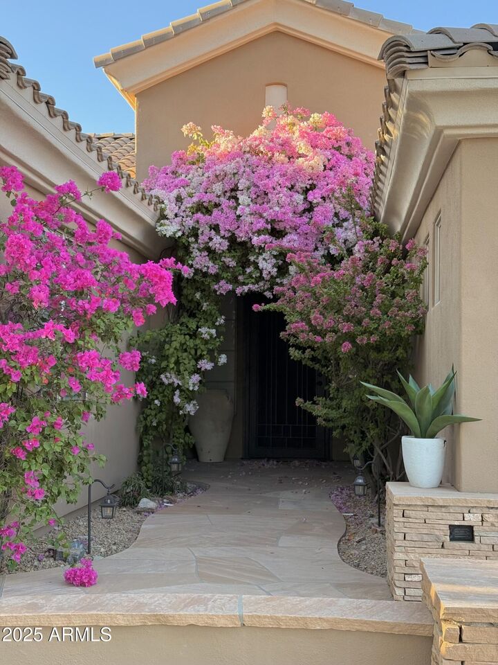 Property Photo:  10294 E Jasmine Drive  AZ 85255 