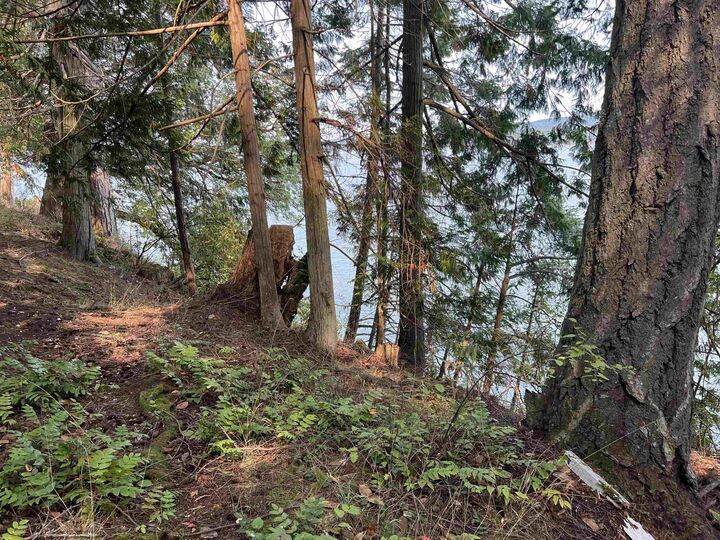 Property Photo: North End Road Lot 2 BC V0V 0V0