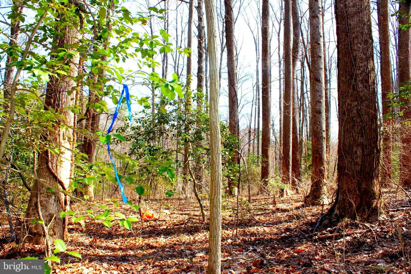 Property Photo: Scott Circle MD 20659