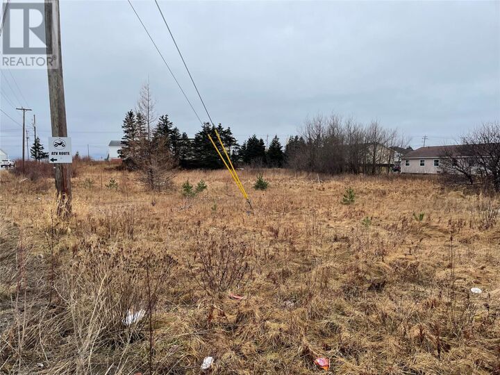 93 West Street And 17 Boland Drive  Stephenville NL A2N 1E6 photo