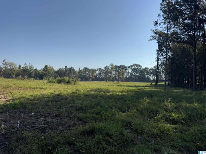 Property Photo:  0 Highway 78 1  AL 35096 