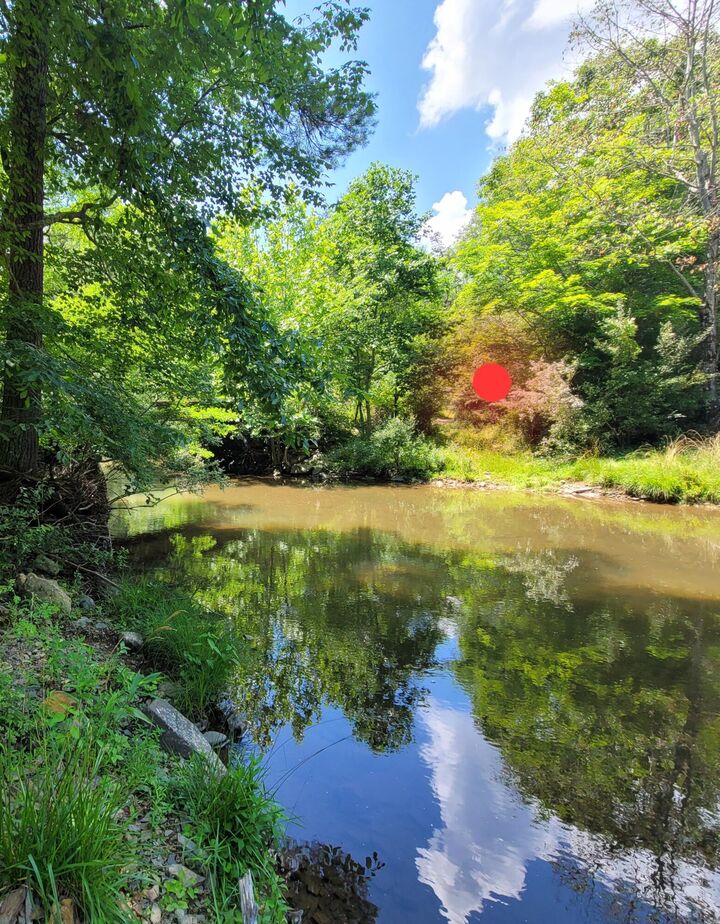 Property Photo:  23 Misty Mountain Rd  WV 24984 