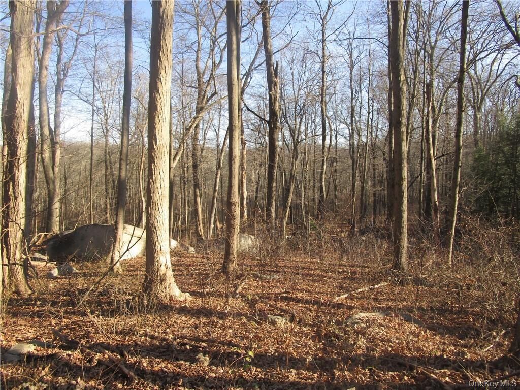 Property Photo: Brookside/Bear Mtn Parkway Avenue NY 10567