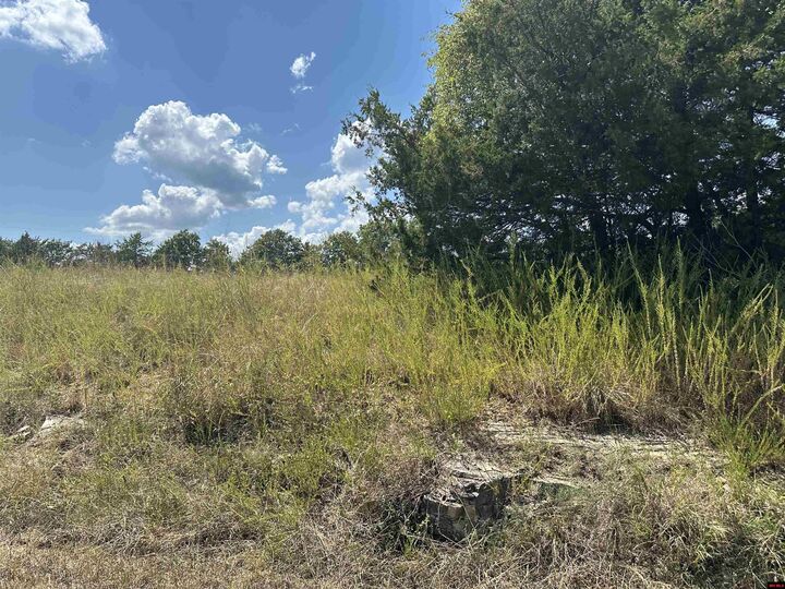 Property Photo: 11550 Hwy 125 AR 72668