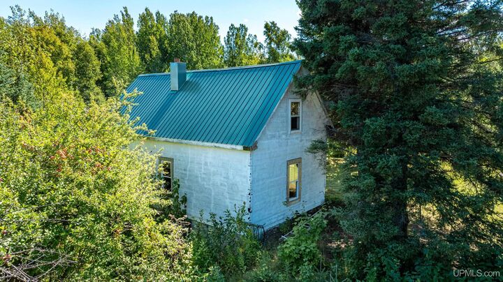 Property Photo:  54509 Salo Road  MI 49930 
