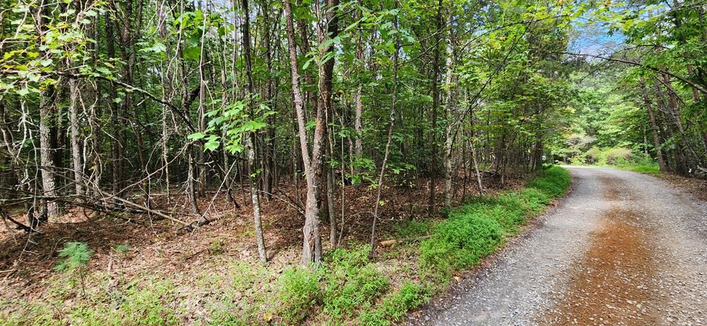 Property Photo:  Lt 14,15 Donna Lee Lane  GA 30559 