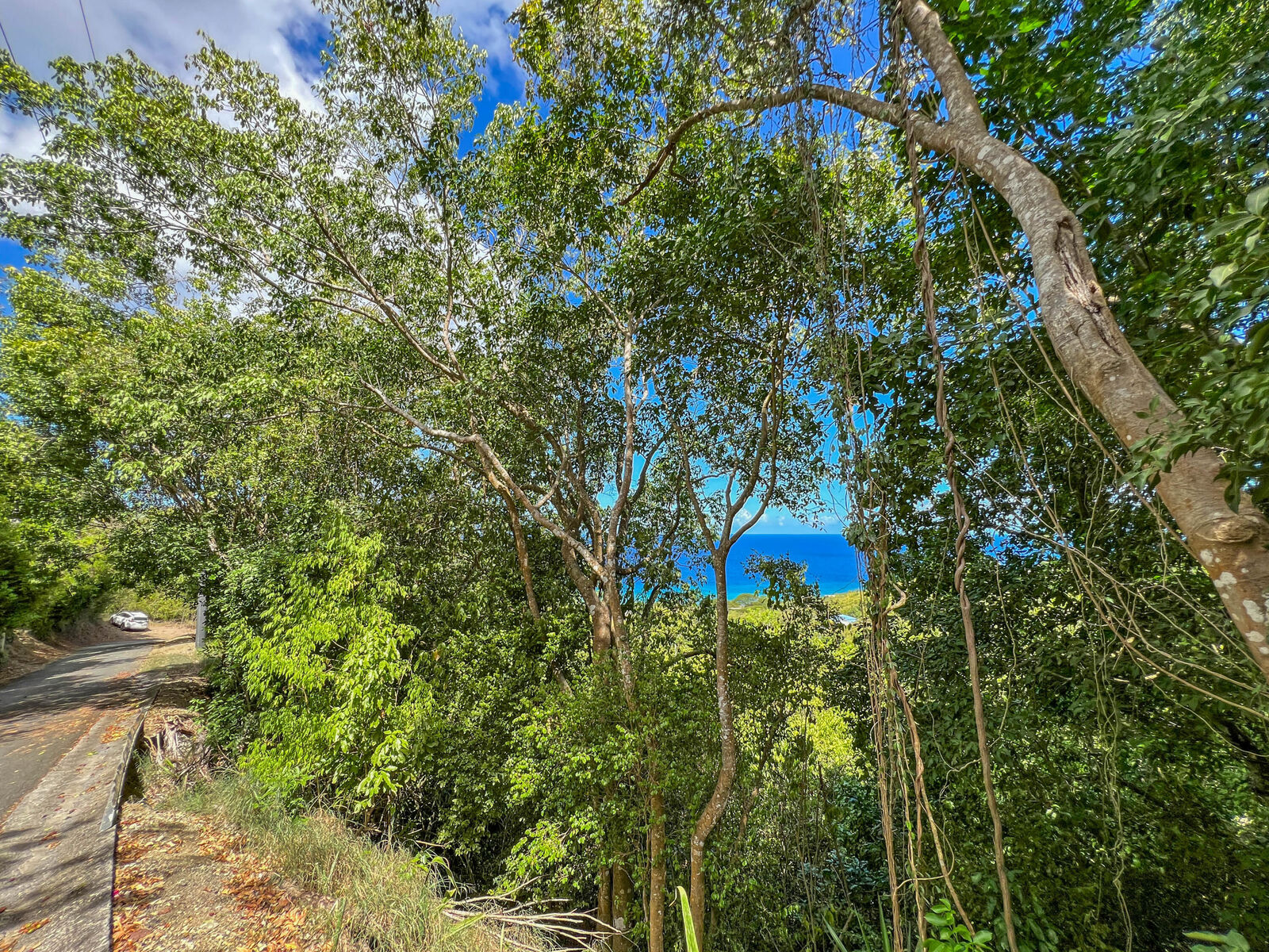 Property Photo:  158 La Vallee Nb  VI 00840