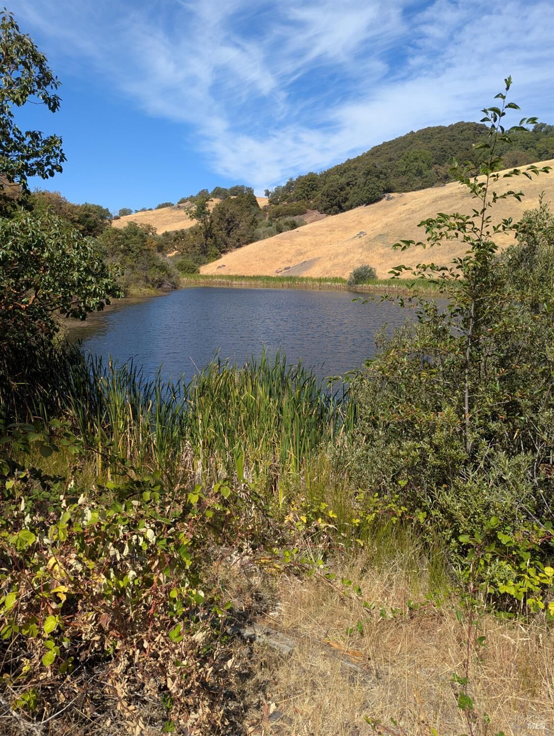 Property Photo: 0 Registered Guest Road CA 95454