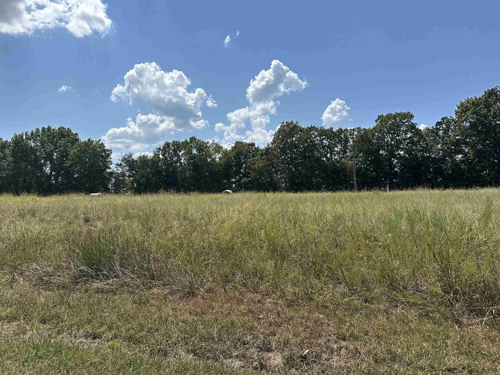 Property Photo:  11550 Hwy 125  AR 72668 