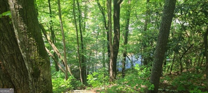 Property Photo:  0 Ber Weg  GA 30545 