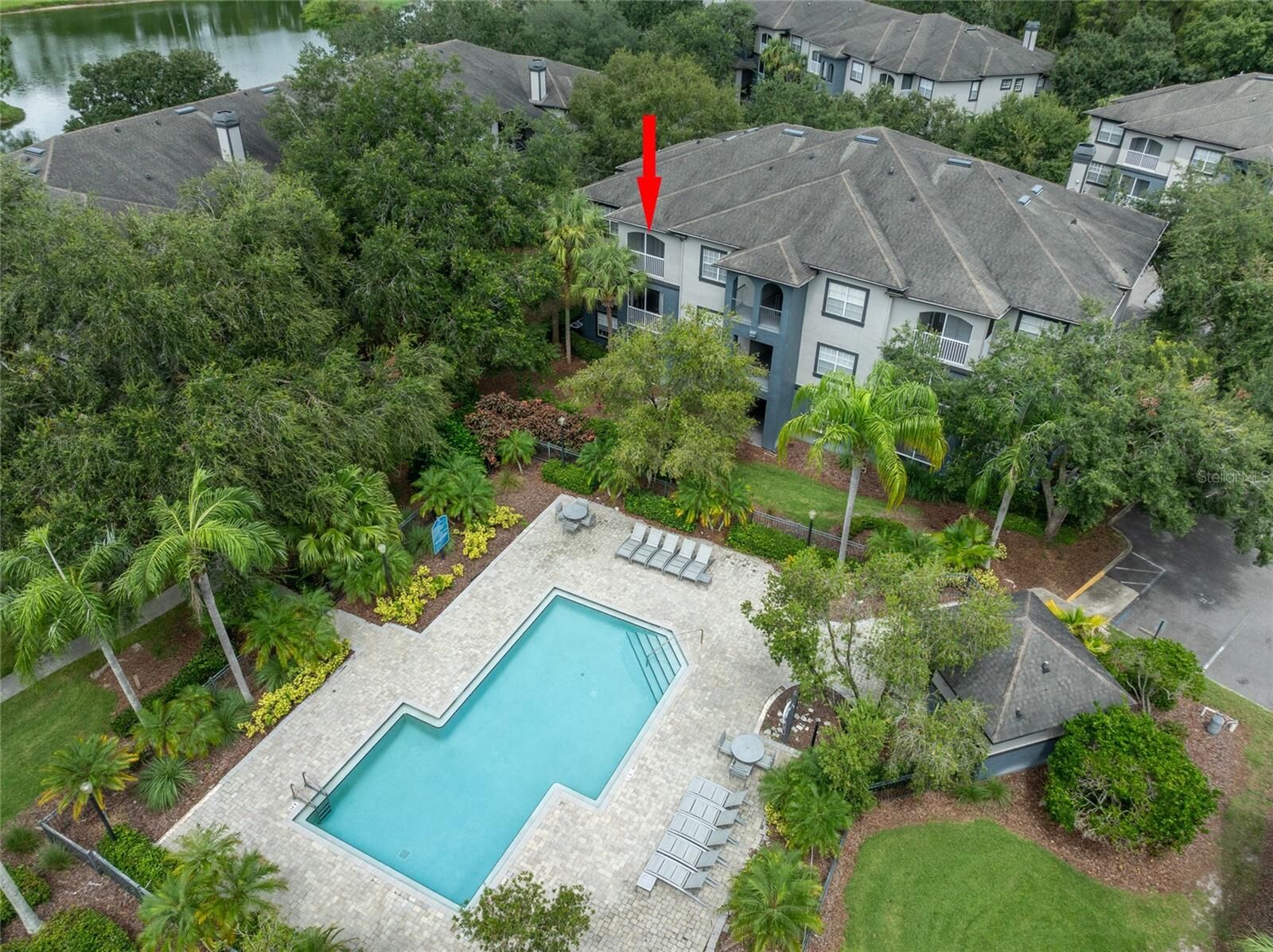 Property Photo: 13204 Sanctuary Cove Drive 303 FL 33637