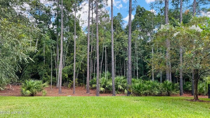 Property Photo:  254 Dock House Road  FL 32259 