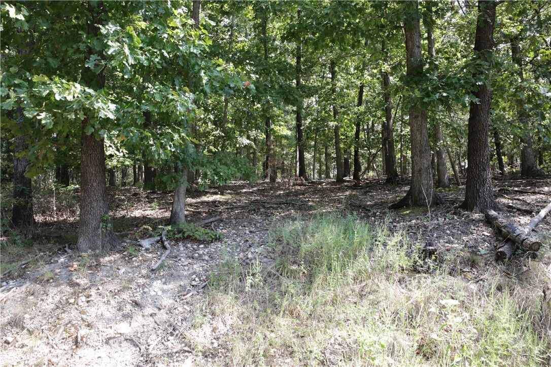 Property Photo:  Lot 11 Dickenshire Drive  AR 72714 