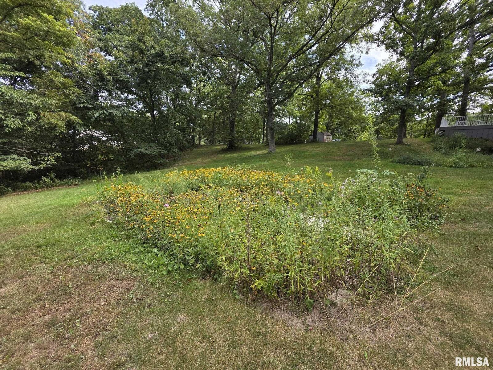 Property Photo:  2051 N 1200th Avenue  IL 62347 