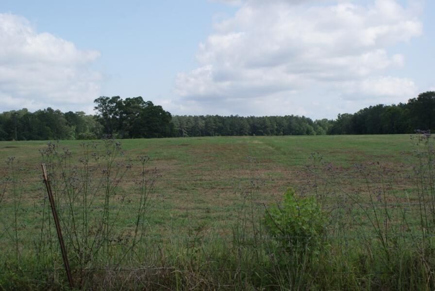 Property Photo:  Magnolia Loop Tract 4  LA 70634 