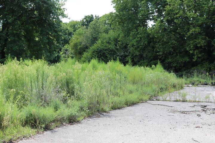Property Photo:  0 Scudder Drive  IN 47025 