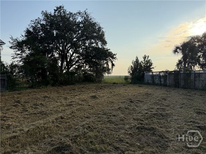 Property Photo:  212 Fish Hawk Lane  GA 31410 