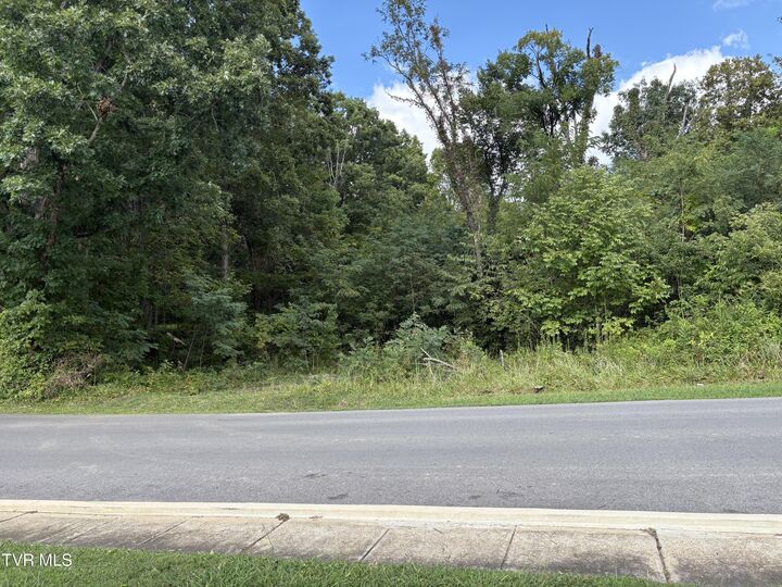 Property Photo: 1.20 Ac Sevier Avenue TN 37745