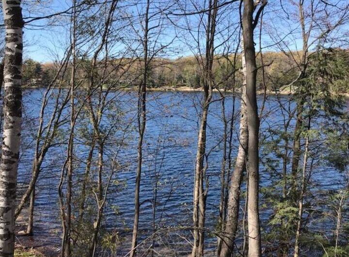 Property Photo: 1530 Shallow Shores Drive MI 49735