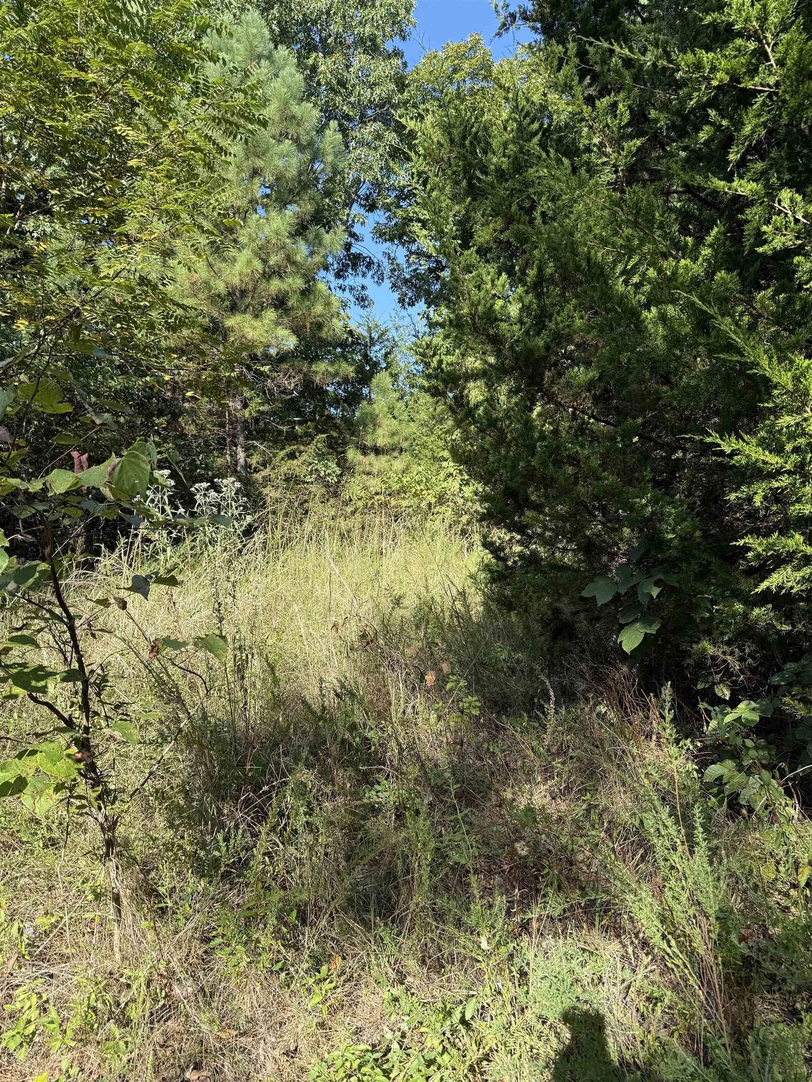 Property Photo: 1213 Ridge Circle AR 72512