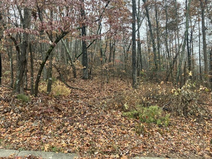 Property Photo: 5 Timber Ridge TN 37347