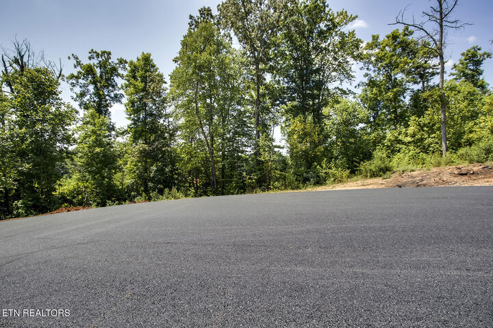 Property Photo:  198 Canter Way  TN 37771 