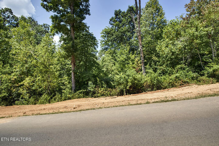 Property Photo:  411 Travellers Way  TN 37771 