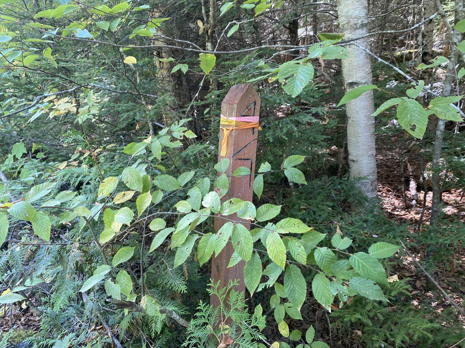 Property Photo:  M06-Lot18 Sys Road  ME 04487 