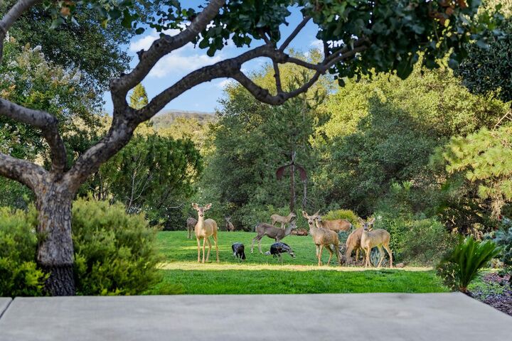 Property Photo:  6520 Butterfield Way  CA 95667 