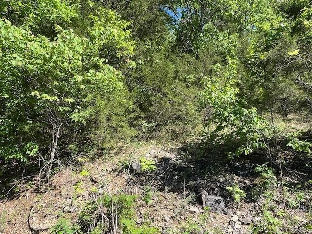 45 Pleasant Ridge Drive  Holiday Island AR 72631 photo
