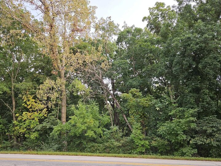 Property Photo:  241 Blackhawk Trace  IL 61036 