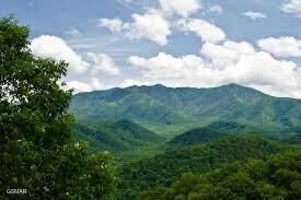 Property Photo:  Lot 30 Fox Run  TN 37738 