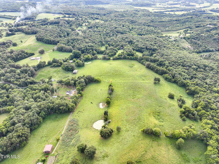 165 Stoney Cove  Midway TN 37809 photo