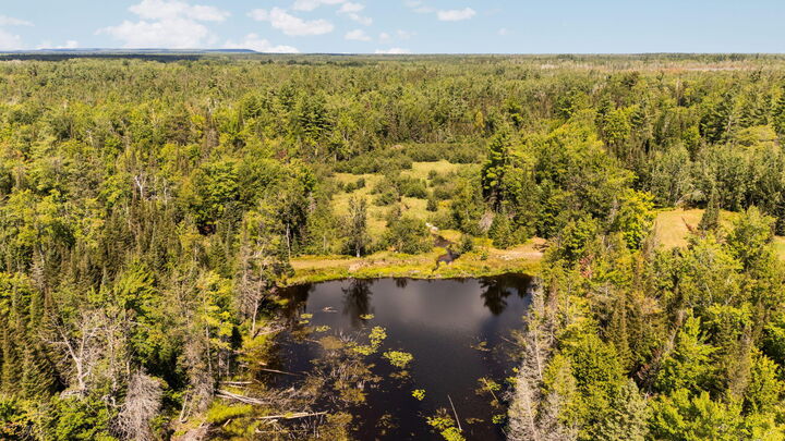Property Photo: 3265 Roost Road MI 49765