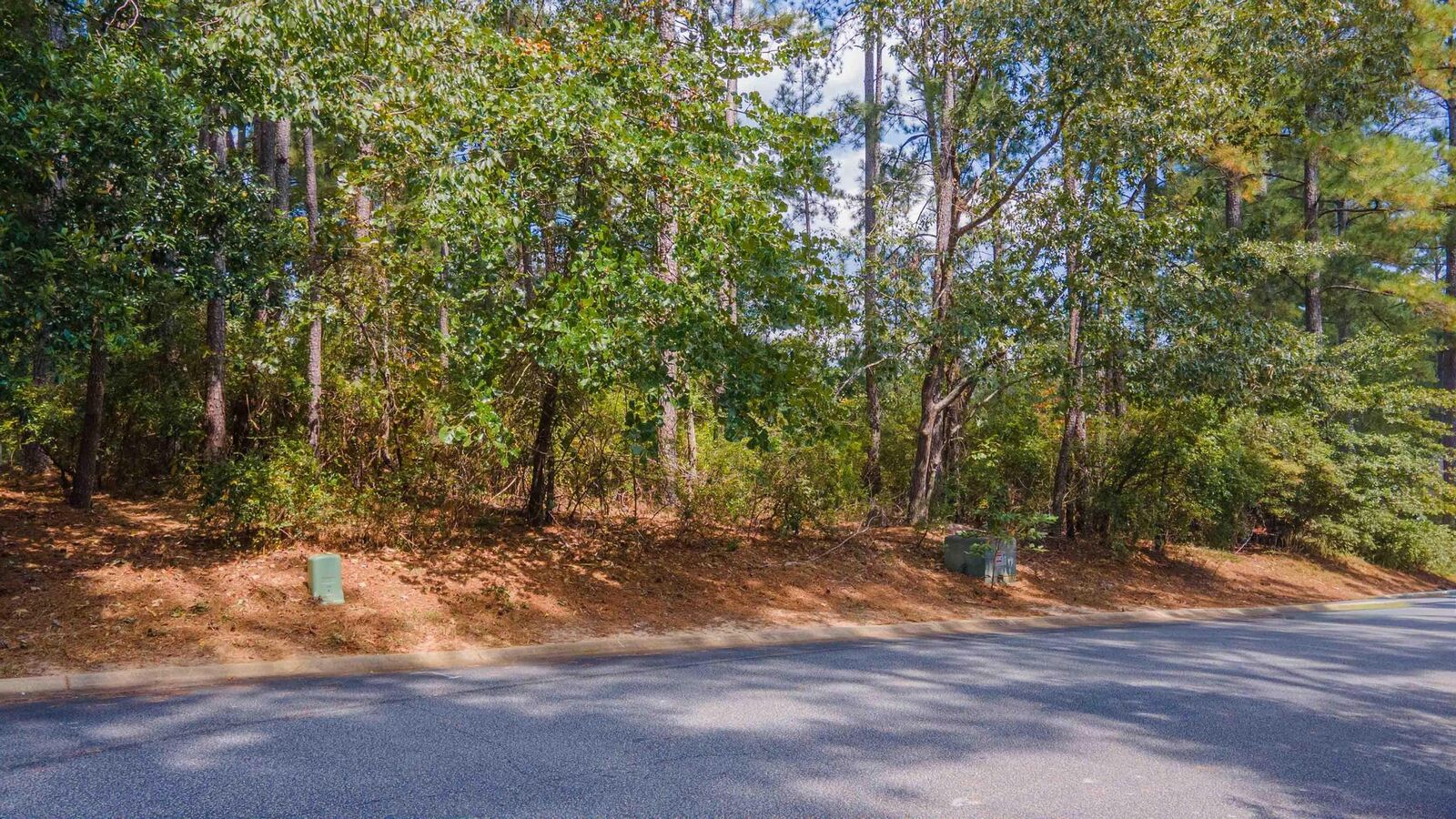 Property Photo:  234 Long Shadow Drive  SC 29803 