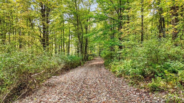 Property Photo: 0 Forest Hill Road NY 13732