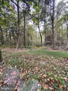 Property Photo:  Lot 5 Clouser Hollow Road  PA 17068 