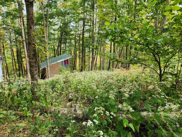 Property Photo:  37 Rocky Road  WV 26270 