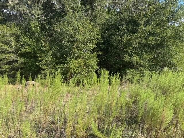 Property Photo:  Lot 18 SW 146th Avenue  FL 34481 