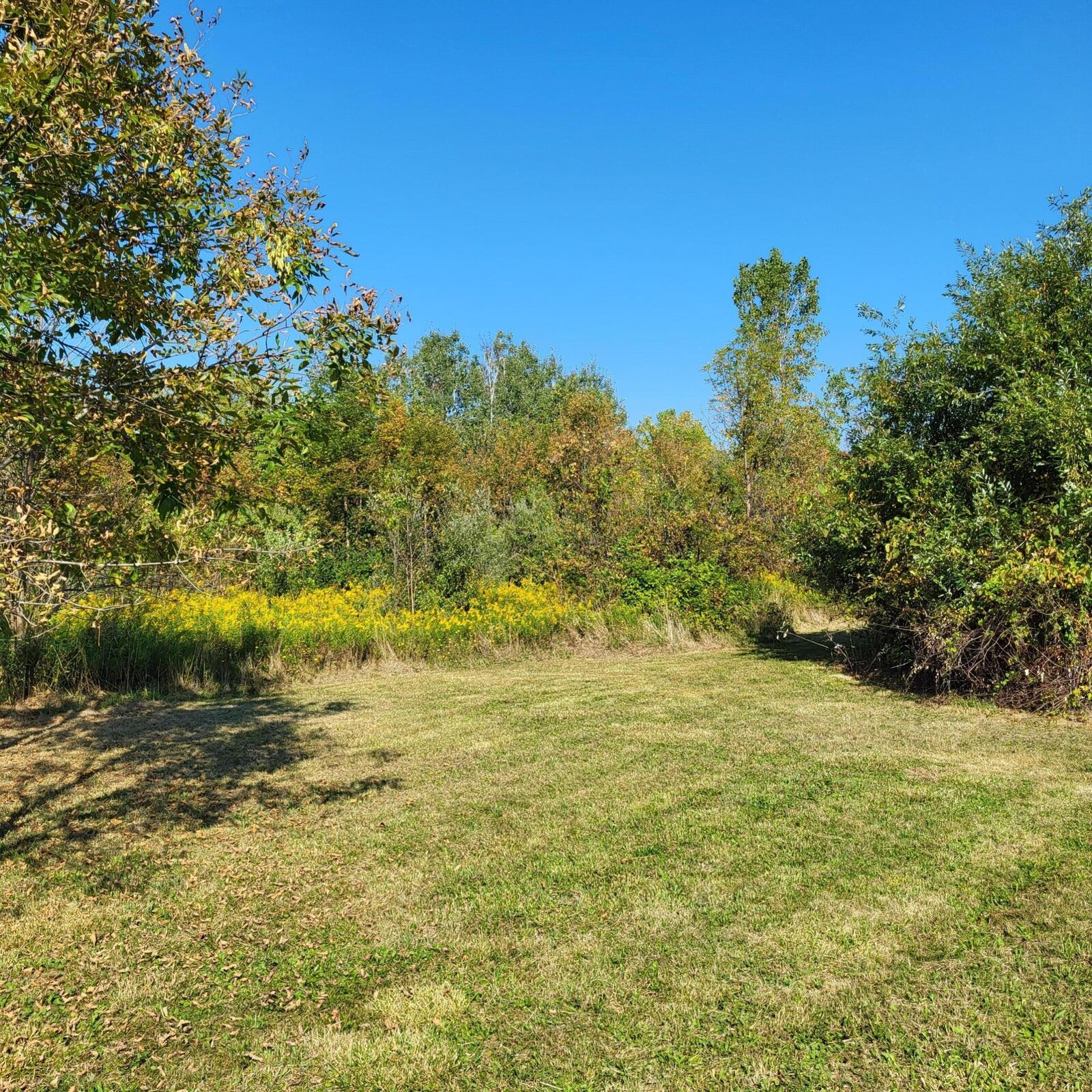 Property Photo:  18020 Hoder Road  MI 49117 