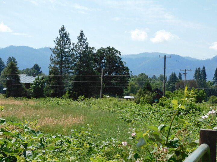 Property Photo: 1701 White Schoolhouse Road OR 97523