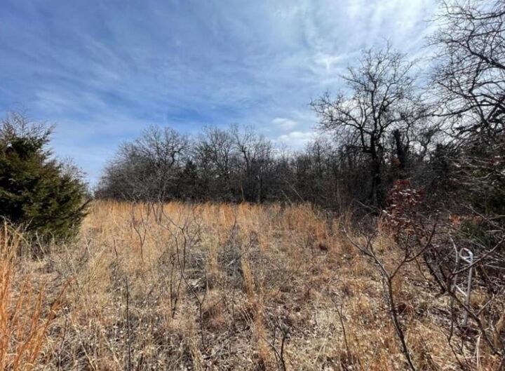 Property Photo:  Lot 14 Toad Road  OK 73045 